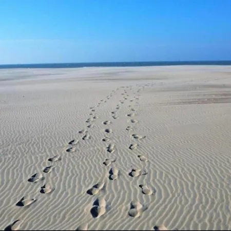 In By The Nieuwpoort