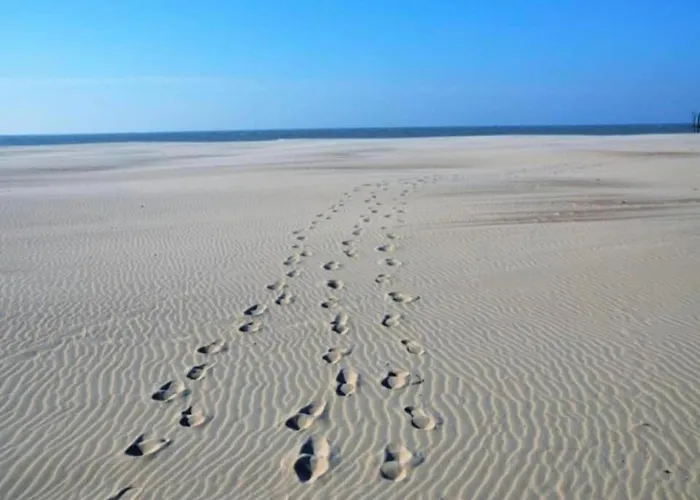 In By The Nieuwpoort