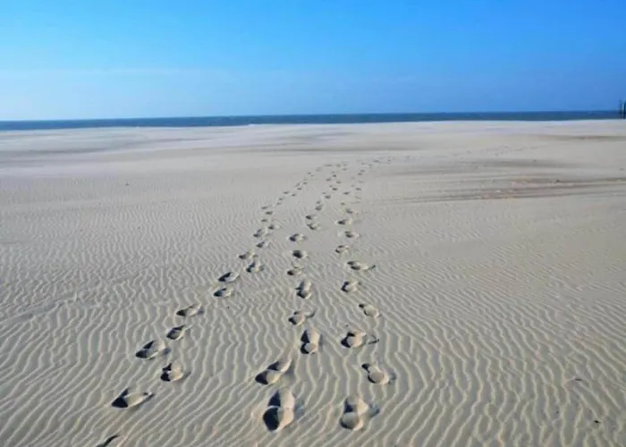 In By The * Nieuwpoort