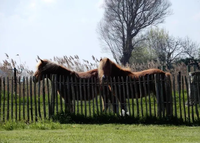 Apartamento In By The Nieuwpoort